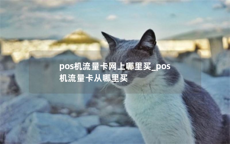 pos機(jī)流量卡網(wǎng)上哪里買_pos機(jī)流量卡從哪里買