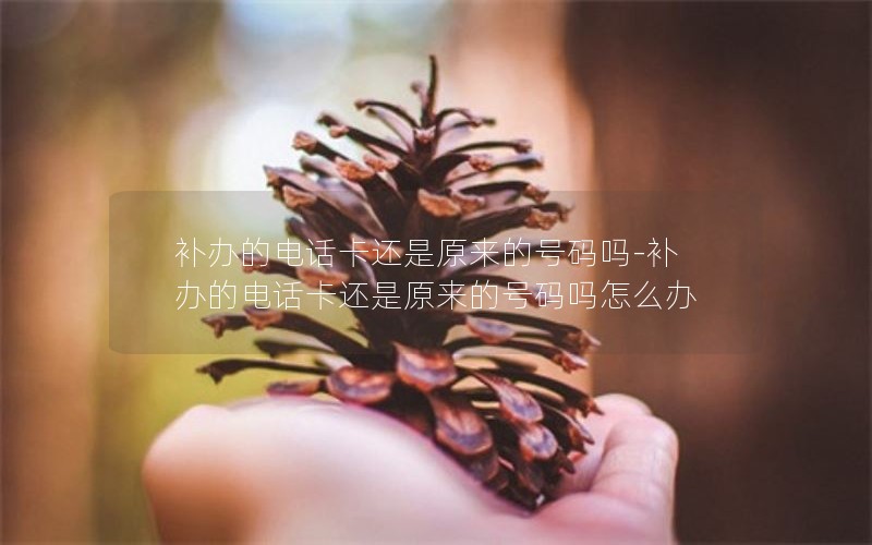 補(bǔ)辦的電話卡還是原來的號(hào)碼嗎-補(bǔ)辦的電話卡還是原來的號(hào)碼嗎怎么辦